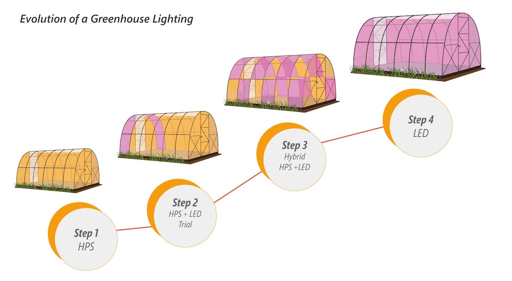 Evolution of a greenhouse lighting