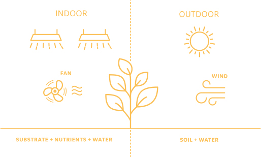 Indoor and outdoor farming graphic