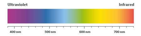 Light Spectrum Graphic