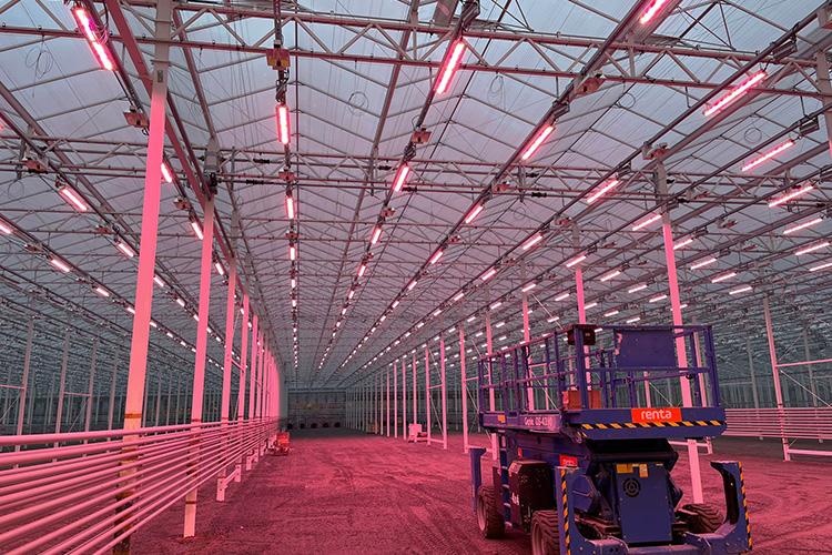Agrifutura Greenhouse with Arize L1000