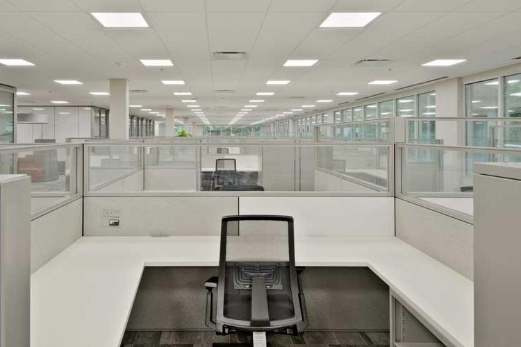 Empty office cubicles