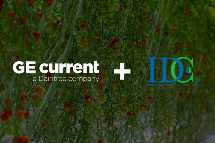 Current and IDC LLC logos with a green leafy background