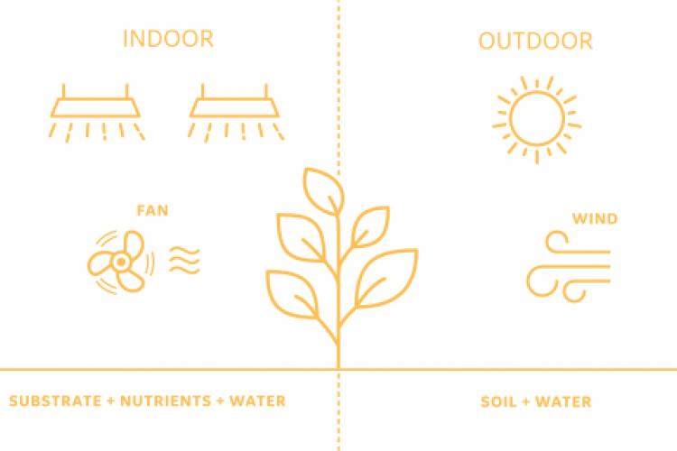 Indoor and outdoor farming illustration