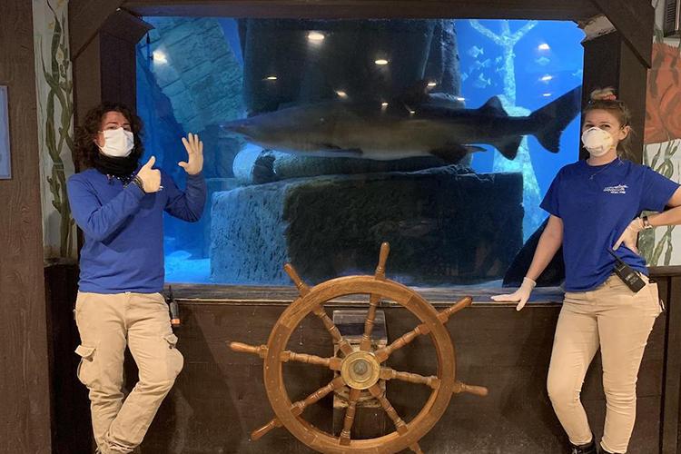 Two employees of the Long Island Aquarium standing in front of a shark tank are protected by disinfection devices