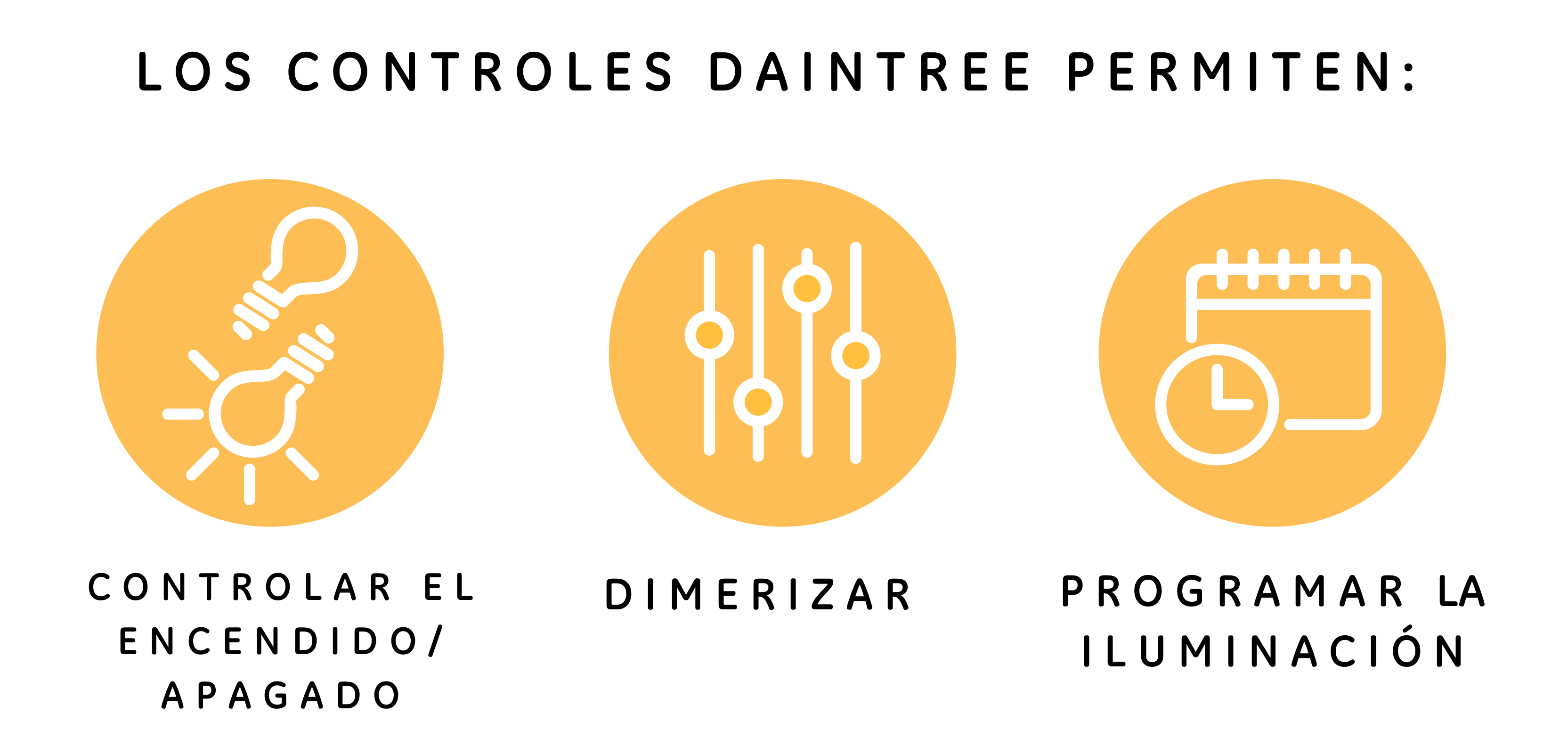 Successful Daintree Application-4